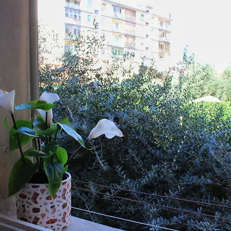 Emy * Florence