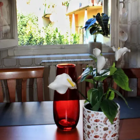 Emy Apartment *